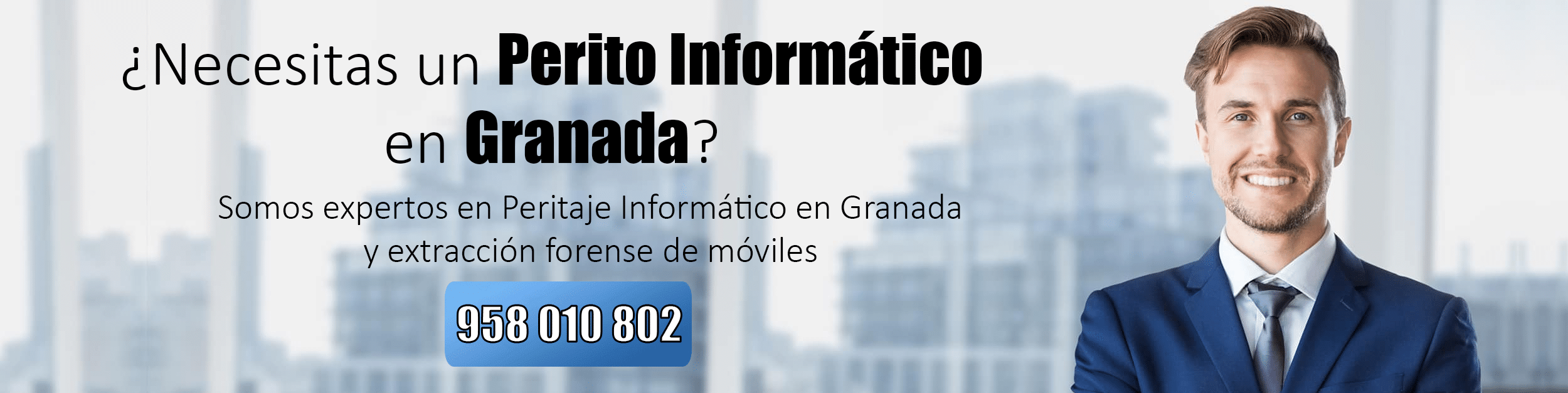 Perito Informático Málaga