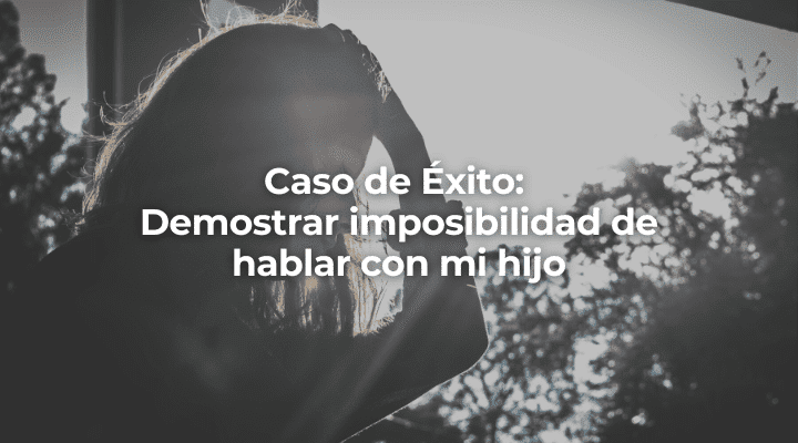 Demostrar imposibilidad de hablar con mi hijo en Granada-Perito Informatico en Granada